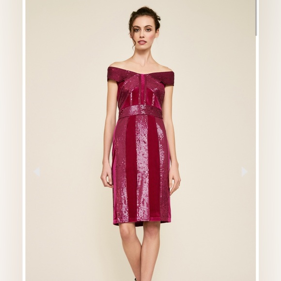 Tadashi Shoji RHEA VELVET & SEQUIN STRIPE DRESS 10 - Picture 1 of 9